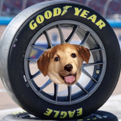 A hardcore #NASCAR fan that uses Twitter as my Cup Series news feed. (No I don’t own a beagle, I just thought the name was funny) #di9