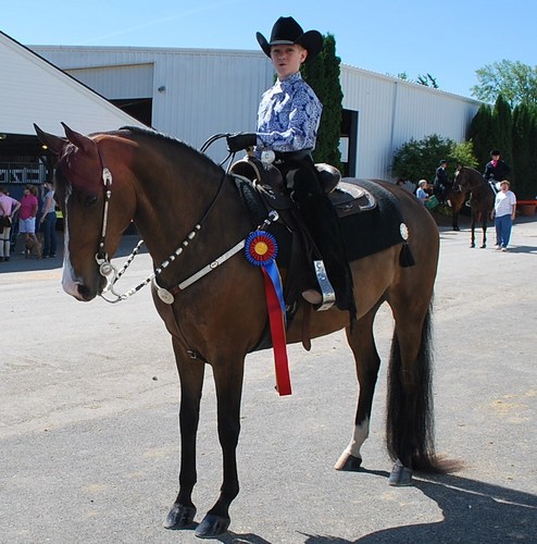 I show morgan horses. I like to skateboard, volunteer, enjoy working with the American Morgan Youth Board and the USEF young equestrians.