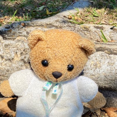 Chispit90646481's profile picture. #chispita amémonos unos a otros ♥️🙏