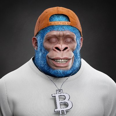 NFT Investor - Supremekong holder