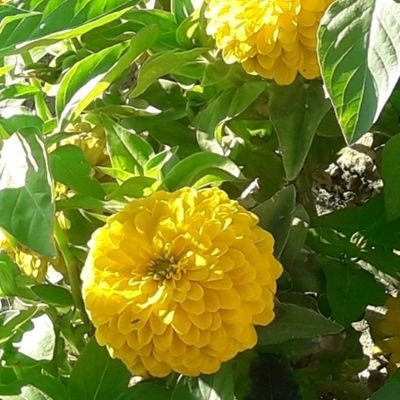 masi1346's profile picture. 