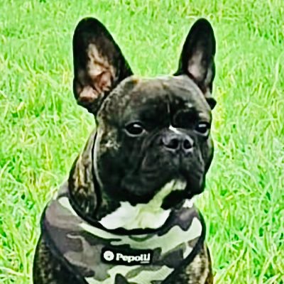 RobertCROARMY's profile picture. 