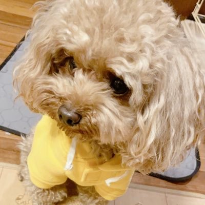 tanirei39's profile picture. 豊島岡→東工大14 無線通信系研究室/サイテク14/LiTメンター→通信系企業勤務