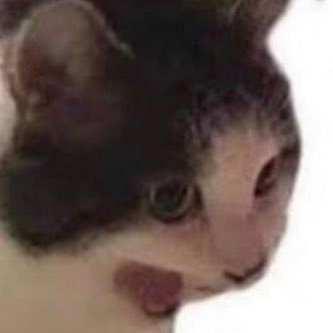 Leenothankyou's profile picture. acorn enthusiast