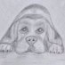 Jankowski123@hotmail.com (@jankowski123) Twitter profile photo Jankowski123@hotmail.com (@jankowski123) Twitter profile photo