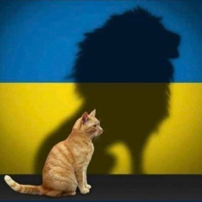 aurelie_flahaut's profile picture. Journaliste Radio Quimper 101.00  
Flashs  entre 6h00 et  9h00
Insta: flahaut_aurelie