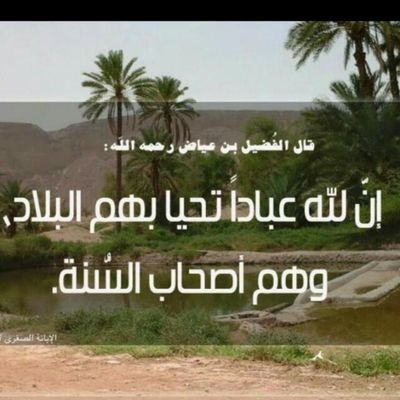 mtami11's profile picture. 