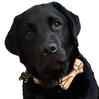 David Schaeffer (@dschaeffer) 's Twitter Profile Photo David Schaeffer (@dschaeffer) 's Twitter Profile Photo