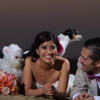 Diana Sansores (@dianasansores7) 's Twitter Profile Photo