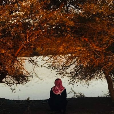 mohammdalgithi's profile picture. 