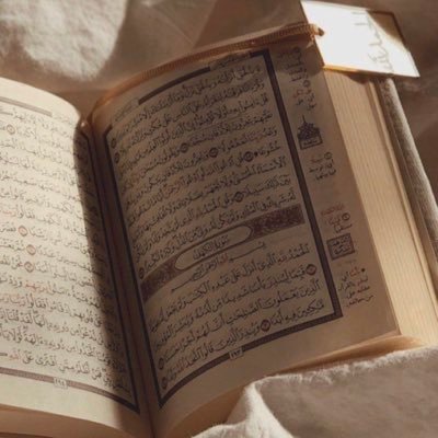 isl4mreminders's profile picture. isl4m._reminders on tik tok🤍 deleted all desi posts