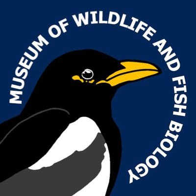The Museum of Wildlife and Fish Biology at the University of California, Davis. Promoting Education and Conservation through Preservation.