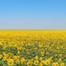 Sunny Uplands (@pcfpearson) Twitter profile photo Sunny Uplands (@pcfpearson) Twitter profile photo
