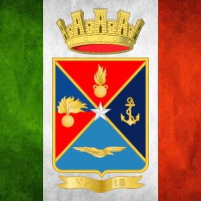 IAFRoblox's profile picture. Hello, we are a Roblox Group called Italian Armed Forces. We are looking to expand our group and be one of best and biggest military groups. https://t.co/lU75o39S0E