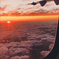 mercherry (@merchelpr) 's Twitter Profile