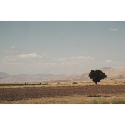 tanerg26's profile picture. 