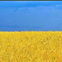 Shaun Poulter (@shaunpoulter) 's Twitter Profile