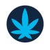 Medical Cannabis Access Survey (@MedCanSurvey) Twitter profile photo