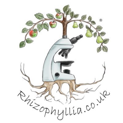 RhizoPhyllia - Soil Food Web Workshops