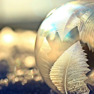 marge_MCXXVI's profile picture. 24___  disaster_______________________
Resident Evil spam, lol. XD