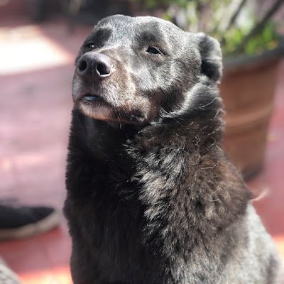 BerlatiGonzalo's profile picture. berla.eth | data lover
hoy hago cosas para mañana tener un mundo mejor.