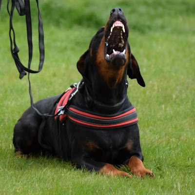 robert_lozi's profile picture. rád pomôžem ak viem …