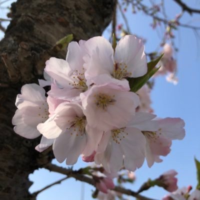 Z0Ez9UmWVHskXx5's profile picture. DA PUMP ISSAさん❤️