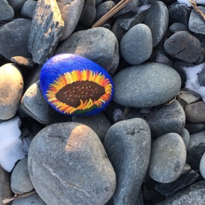 gomoosego24821's profile picture. 