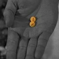 cheeseprocedure's profile picture. 7 Days to Die veteran since A9.

Also helping moths that get stuck in the bath.