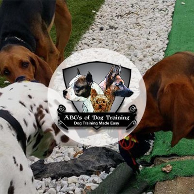 ABCsofDogT's profile picture. ABC's of Dog Training is a Dog Training Service in Queens, NY