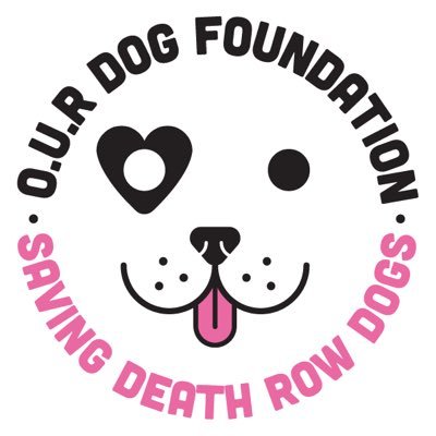 ourdogf's profile picture. OURDF is dedicated to saving dogS; a registered 'community interest company' who make no profits: all the money you send to help dogs, goes to the dogs.