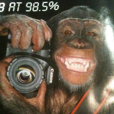 NickK79305480's profile picture. 