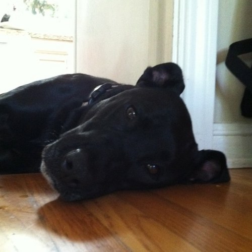 rwkahn3's profile picture. MS tech teacher- Y are kids taught the same thing in the same way @ the same time. Inspired by Gary Stager & 3DGameLab. https://t.co/IdBqRhjL29