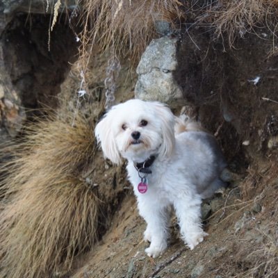 mxymln's profile picture. I like everything in science primarily space, medicine & tech