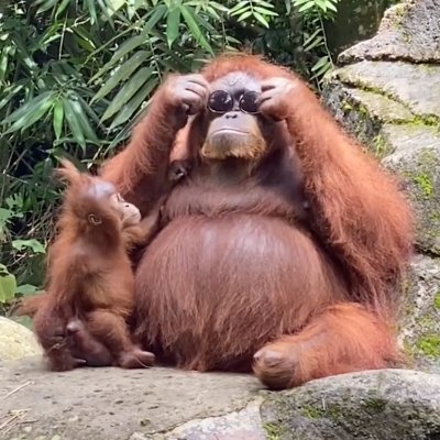 maxx_la_menacce's profile picture. vive la lune elle est trop délaissé 🌔