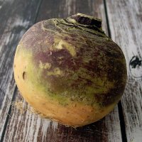 Rootveg Serf (@rootvegs) 's Twitter Profile