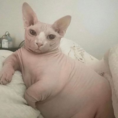 PumPkINsroOdLe's profile picture. 