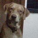 Alexander Quiroga - @johnalexquiroga - Twitter