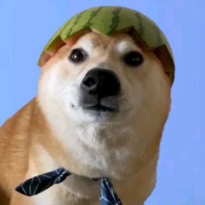 awaymaxx's profile picture. geh mal weg