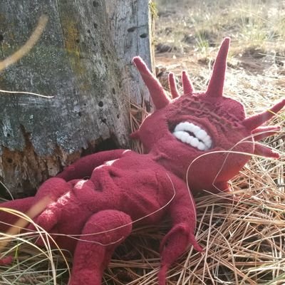 plutovi_'s profile picture. I make soft sculptures and take public domain photos