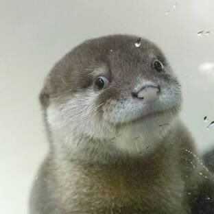 れいるさんのプロフィール画像