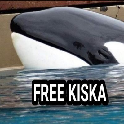 #freekiska ocean surfers will surf againさんのプロフィール画像