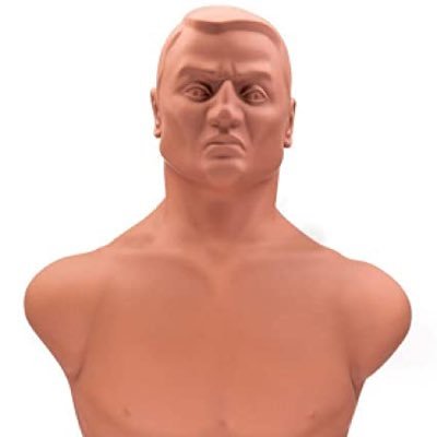 NotPhilSwift1's profile picture. I am John the Punching Dummy, recently purchased by KingWoolz