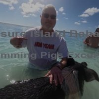HOG YEAH! in GA 🇺🇸 (@scobai1971) 's Twitter Profile