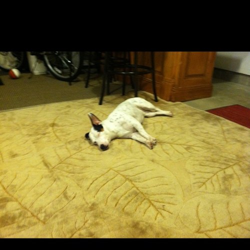 JayNicholson's profile picture. 