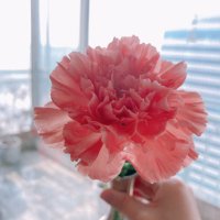 Spring (@spring23922986) 's Twitter Profile