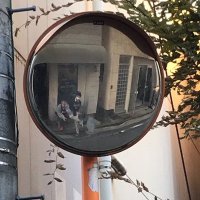 しょ (@shoui08) 's Twitter Profile