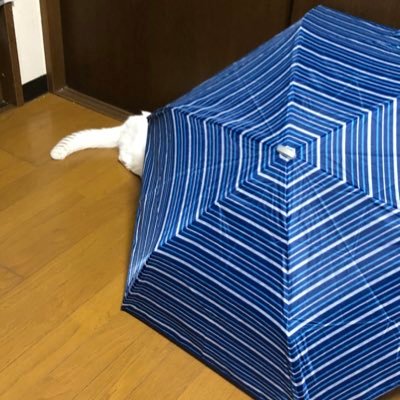 映画とか舞台とか特撮とか音楽が好きです■好き役者：岩永洋昭(美獣・純烈含む)・唐橋充・川村陽介・高岡蒼佑・丸山敦史(昭和のニオイ)※五十音順・敬称略、あと、20年以上追ってるバンドが１つ■国内ならどこでも行くよ