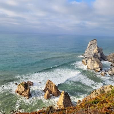 VJ_Maniacooo's profile picture. 