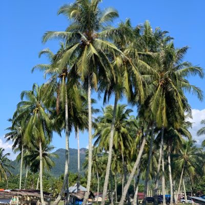 Bujas1090's profile picture. Manifest